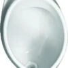 Ideal Standard Urinoirs - Urinoir, Boveninlaat, Wit V510501 2 Ideal Standard Urinoirs - Urinoir, Boveninlaat, Wit V510501 -Grohe Verkoop 82d11590877d1cf0f4d799f1