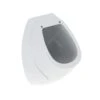 Geberit Urinoirs - Urinoir, Achterinlaat, Wit 239200000 -Grohe Verkoop eb7bb62e81529aa7cb6683d1